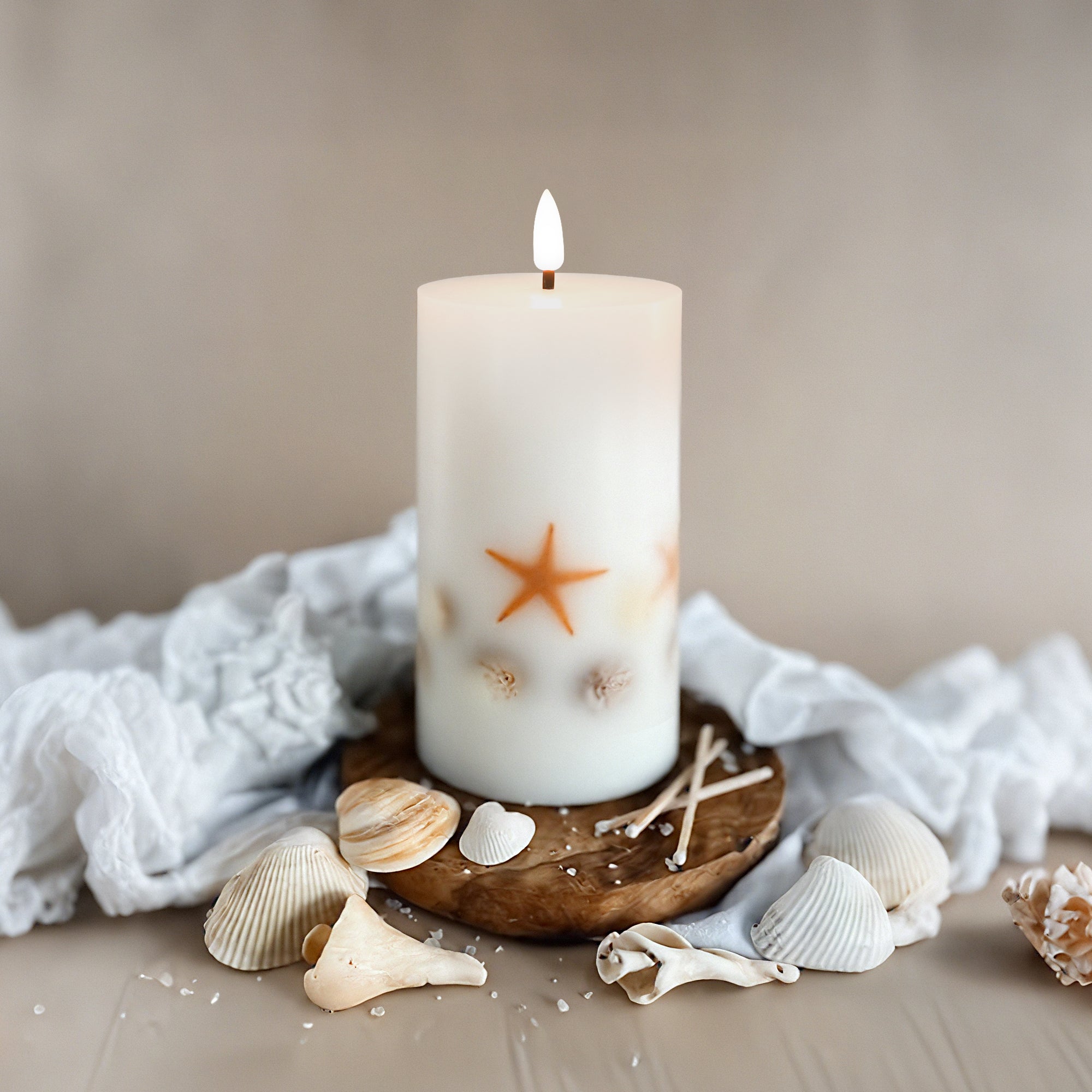 #color_shell-starfish