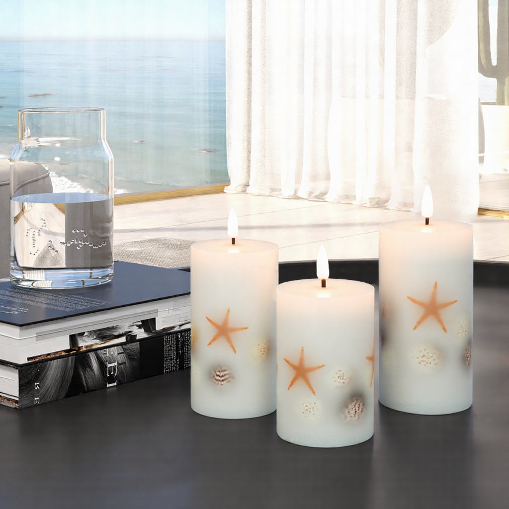 #color_shell-starfish