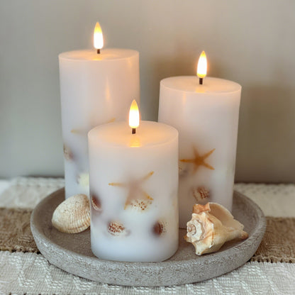 Embedded Shell Candle, Set of 3