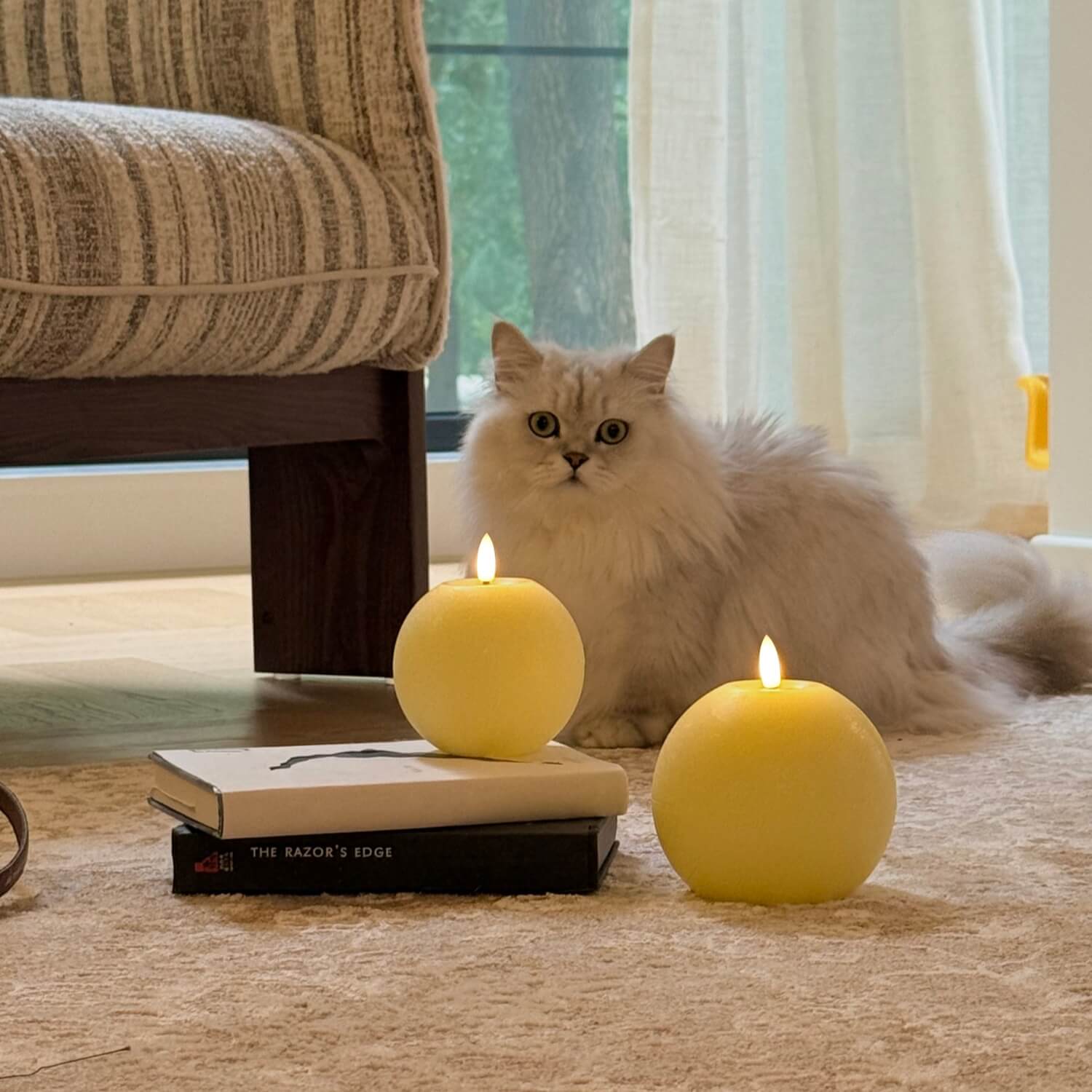 Cat sitting on a couch next to two yellow candles and a book
