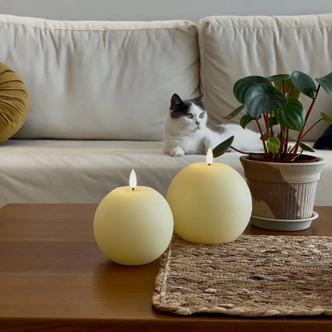 Two spherical candles on a wooden table with a cat sitting on a beige sofa in the background.