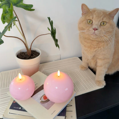 Cat sitting on a surface with two pink candles and a plant in the background