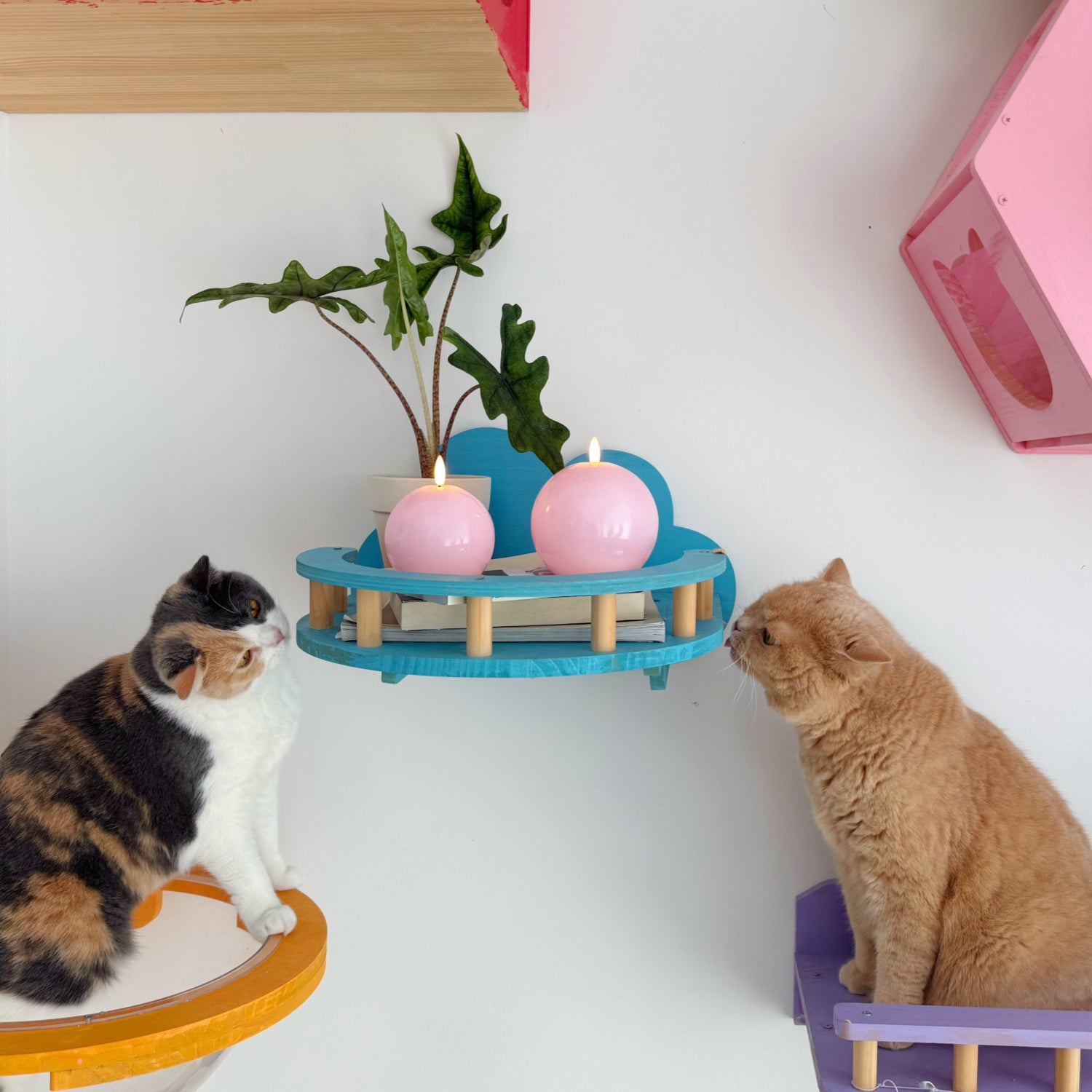Two cats interacting with a small blue shelf with pink candles on a white wall.
