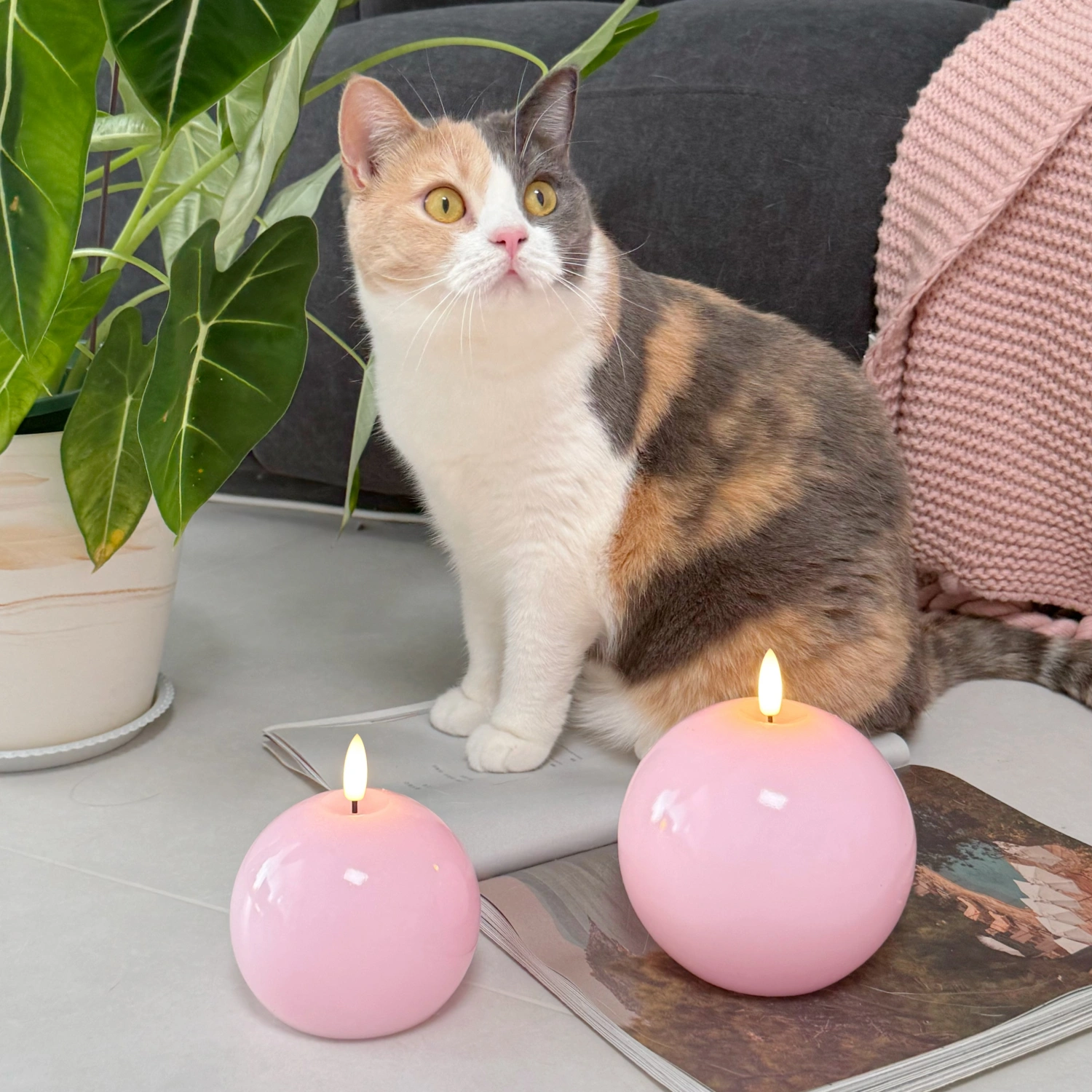 Calico cat sitting next to two pink candles on a surface with a plant and magazine in the background.