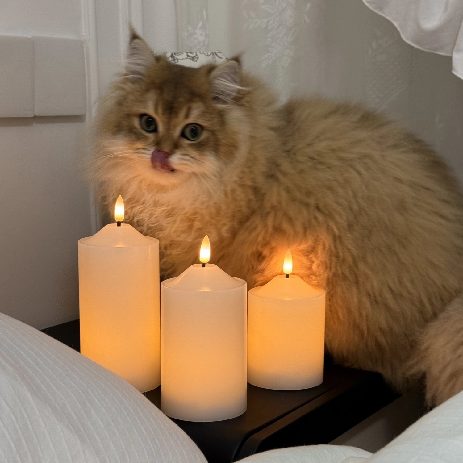 Cat sitting next to three lit candles on a surface.