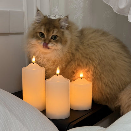 Cat sitting next to three lit candles on a surface.