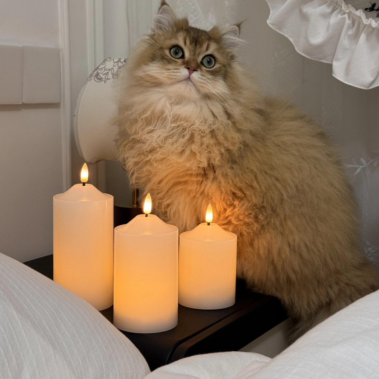 Cat sitting next to three lit candles on a surface